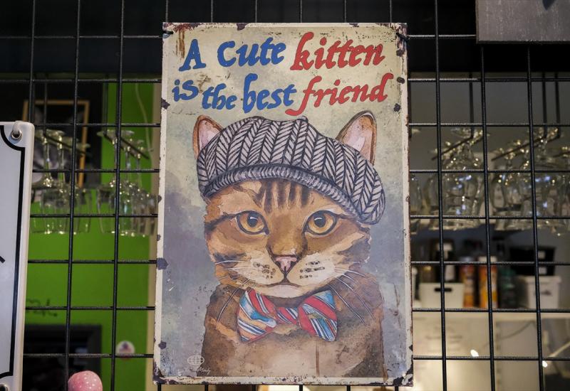 Kafići za mačke postaju sve češći - Kafić za mačke u Bruxellesu: Spašavaju ih s ulice i traže novi dom